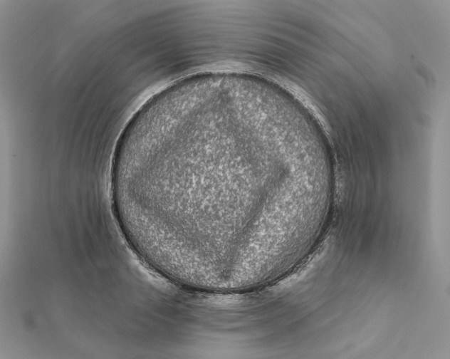 X0000112350845200909031847