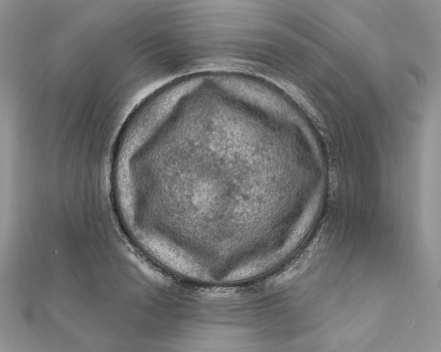 X0000112350846200909031847