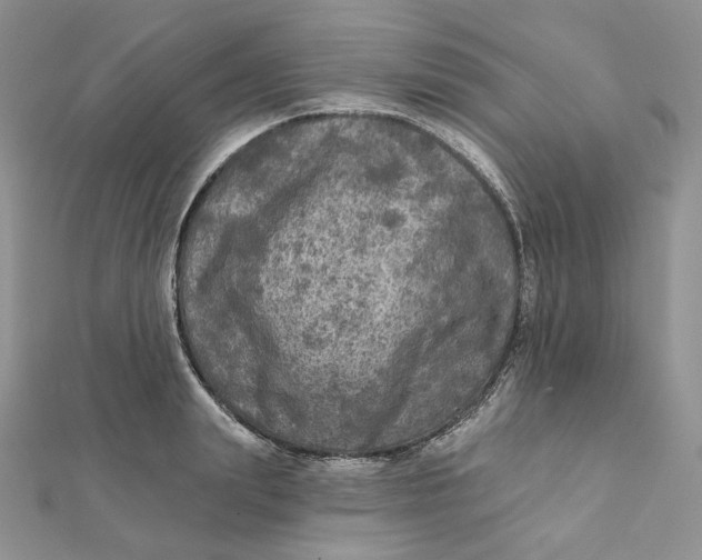 X0000112350847200909031847