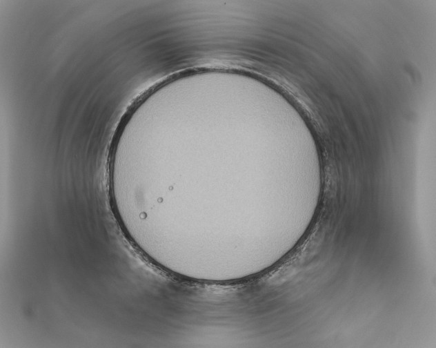 X0000112350848200909031847