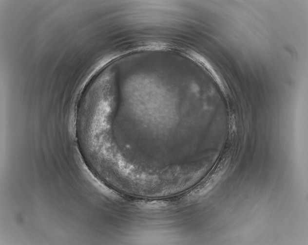 X0000112350851200909031847