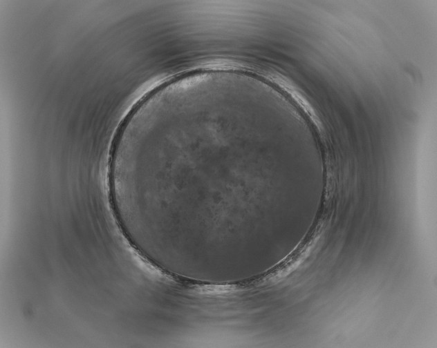 X0000112350853200909031847