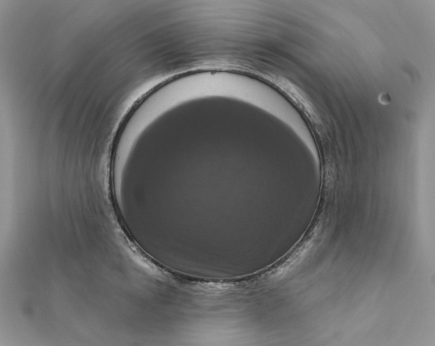 X0000112350854200909031848