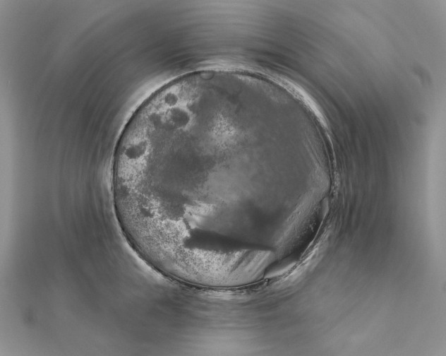 X0000112350855200909031848