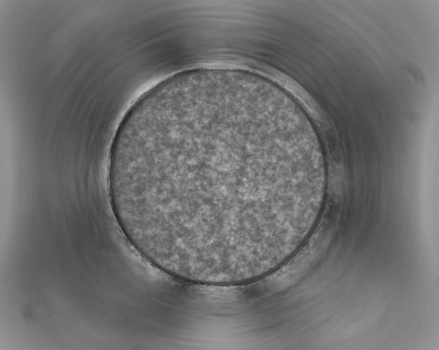 X0000112350856200909031848