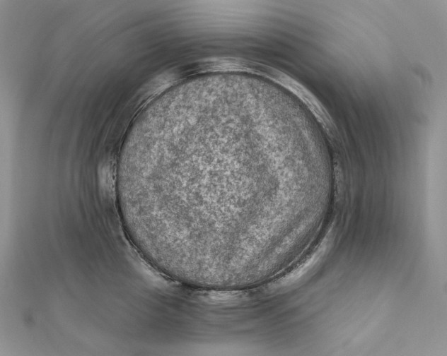 X0000112350857200909031848