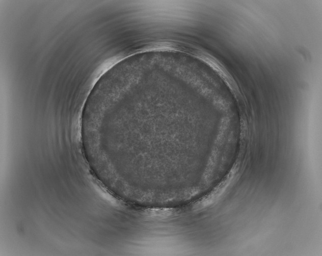 X0000112350858200909031848