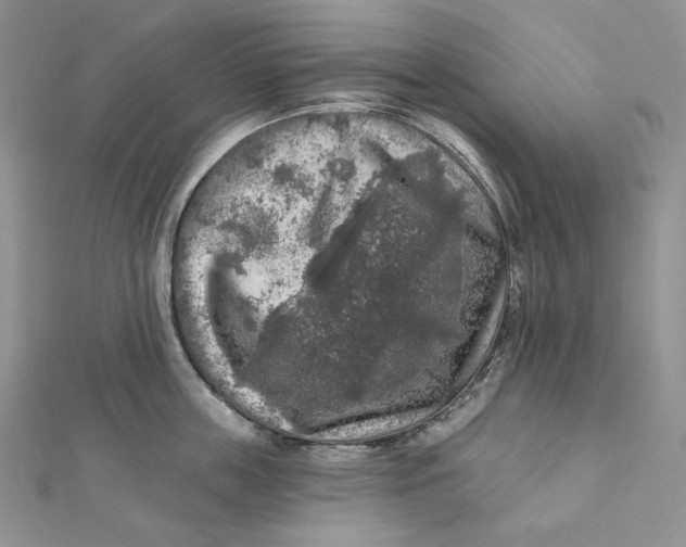 X0000112350859200909031848