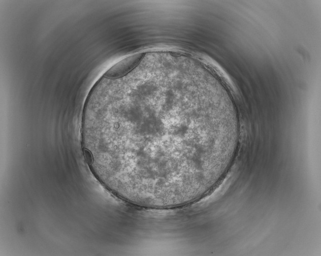 X0000112350860200909031848