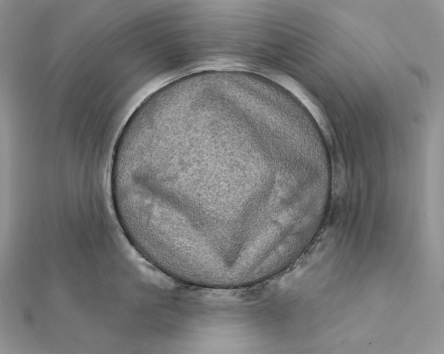 X0000112350861200909031848