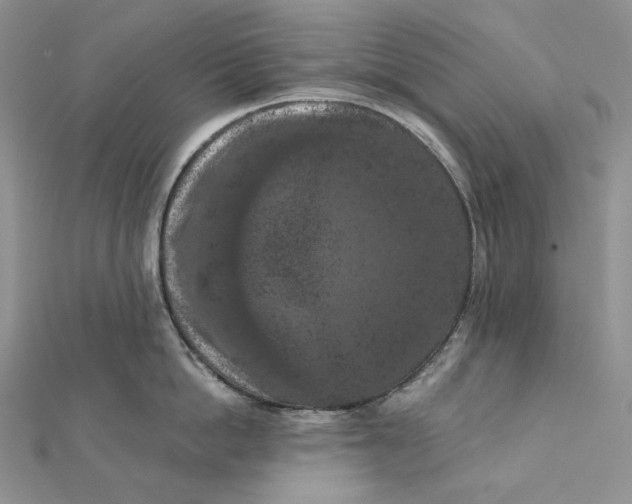 X0000112350862200909031848