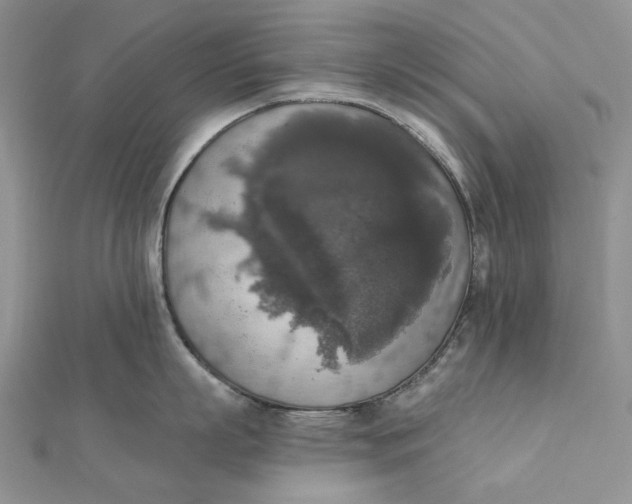 X0000112350863200909031848