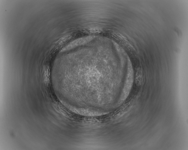 X0000112350866200909031847