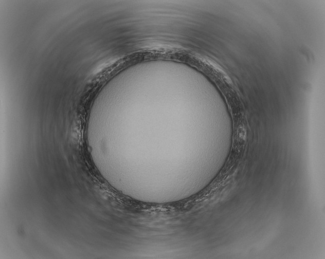 X0000112350869200909031847