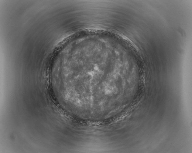 X0000112350870200909031847