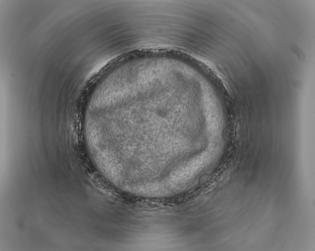 X0000112350871200909031847