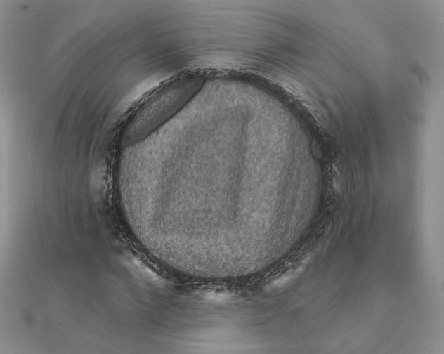 X0000112350872200909031847