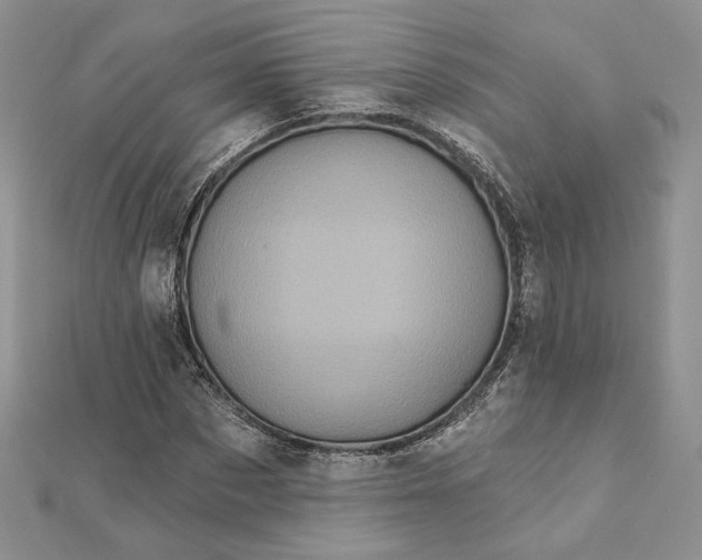 X0000112350873200909031847