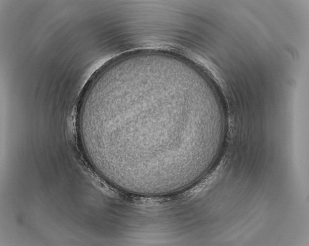 X0000112350875200909031847