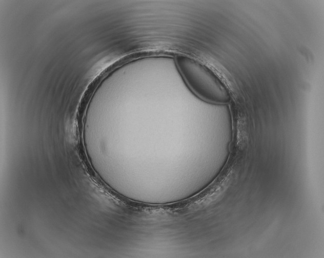 X0000112350876200909031847