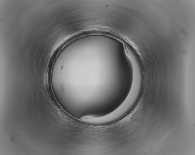 X0000112350877200909031847