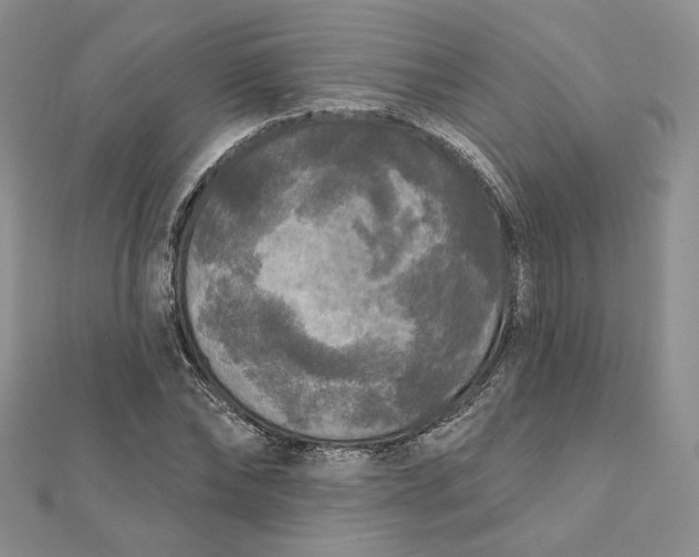 X0000112350878200909031847