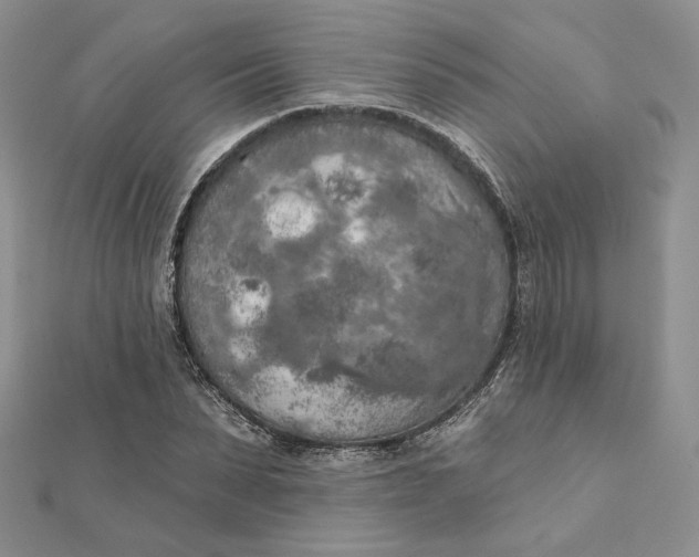 X0000112350879200909031847