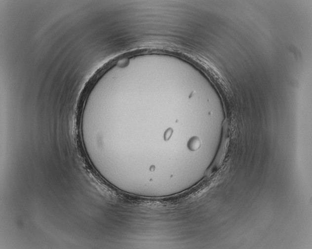 X0000112350880200909031847