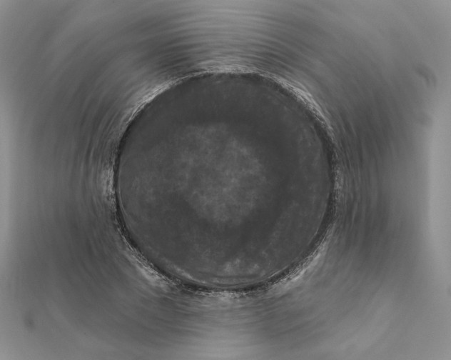 X0000112350881200909031847