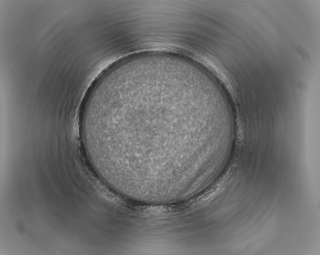 X0000112350883200909031847