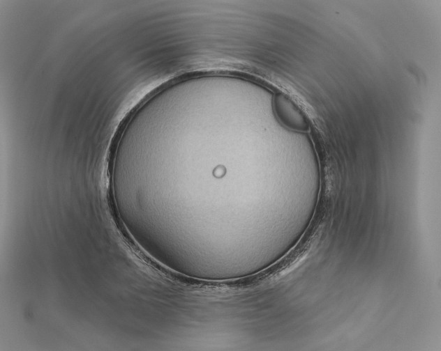 X0000112350885200909031847