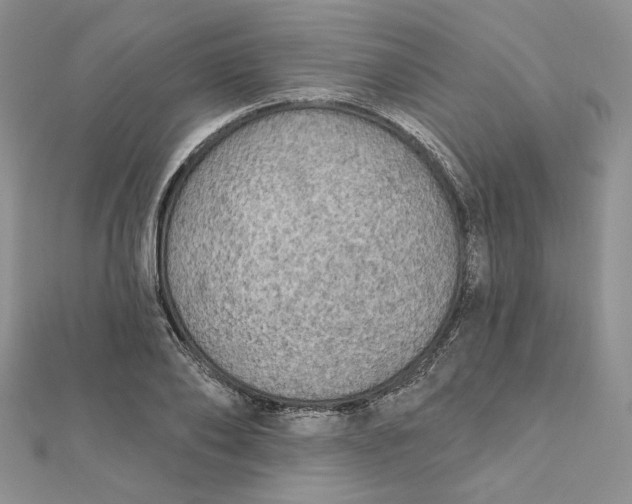 X0000112350886200909031847