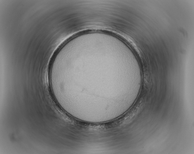 X0000112350887200909031847