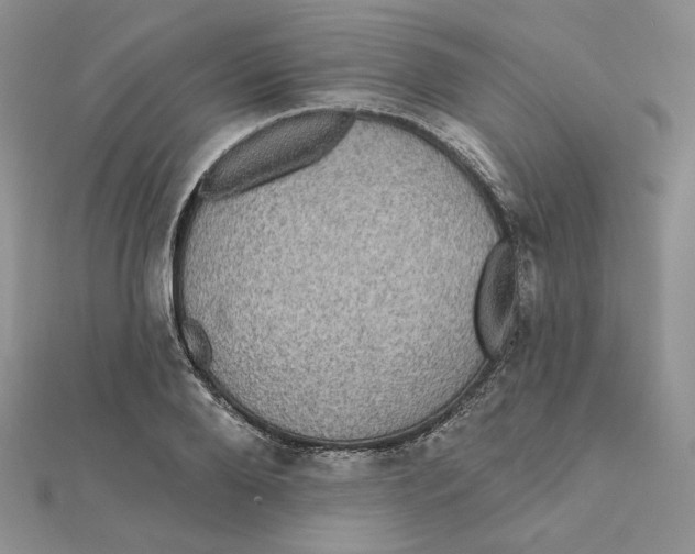 X0000112350888200909031847