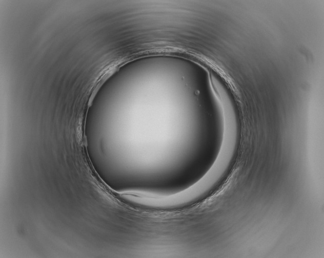 X0000112350889200909031847