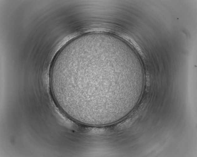 X0000112350890200909031847