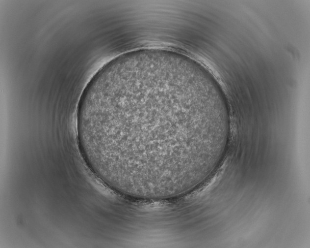 X0000112350891200909031847