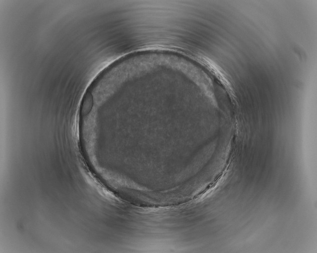 X0000112350892200909031847