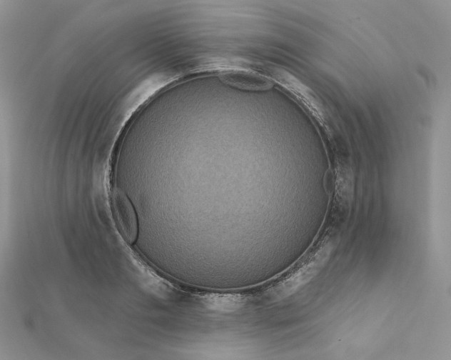 X0000112350893200909031847