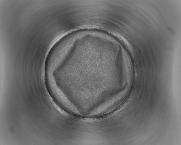 X0000112350894200909031847