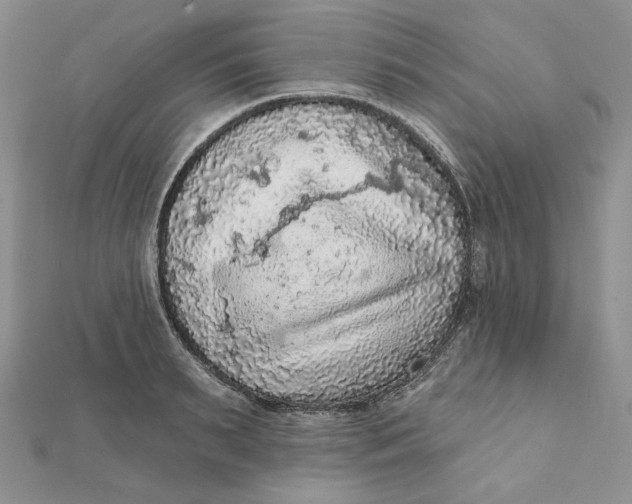 X0000112350895200909031846