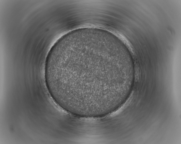 X0000112350896200909031846