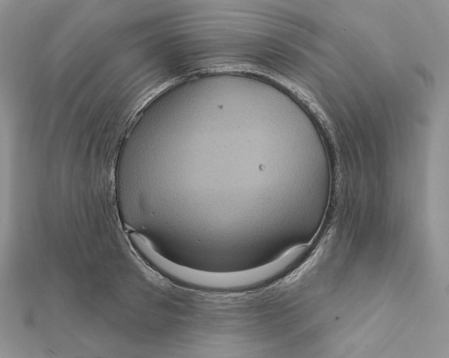 X0000112350897200909031846