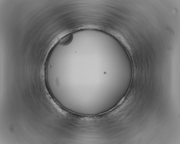 X0000112350898200909031846