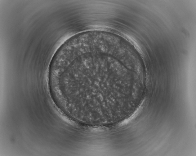 X0000112350899200909031846