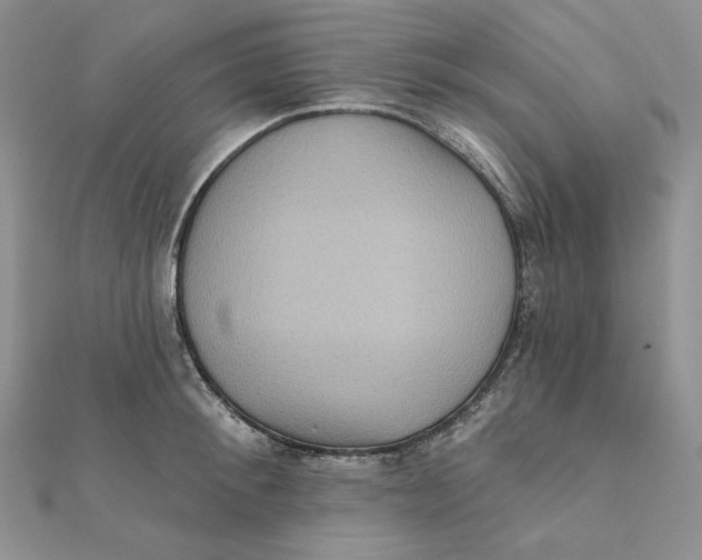 X0000112350900200909031846