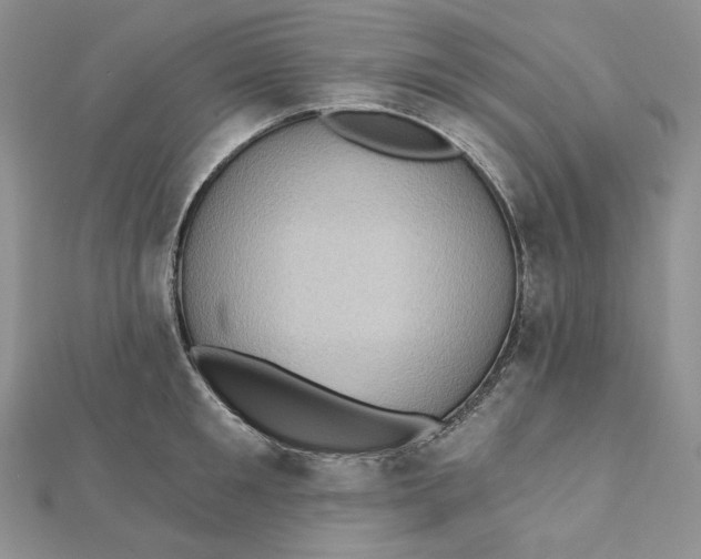 X0000112350901200909031846