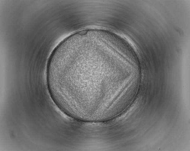 X0000112350902200909031846