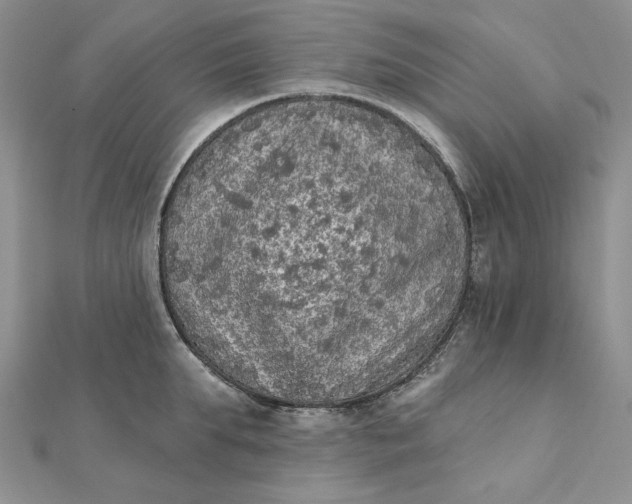 X0000112350903200909031846