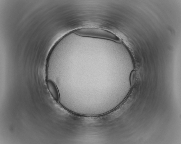 X0000112350904200909031846